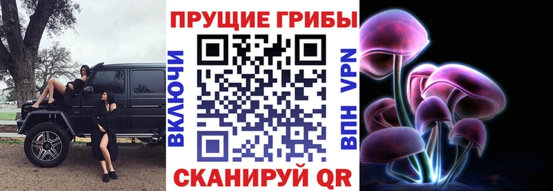 Купить закладки  Шимановск  Псилоцибиновые грибы прущие грибы 